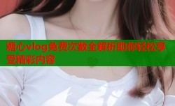 糖心vlog免费次数全解析助你轻松享受精彩内容