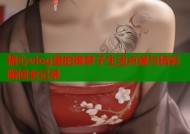 糖心vlog里的御梦子生活点滴与精彩瞬间全记录