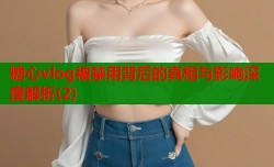 糖心vlog被禁用背后的真相与影响深度解析(2)