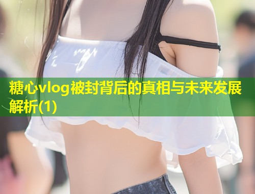 糖心vlog被封背后的真相与未来发展解析(1)  第1张