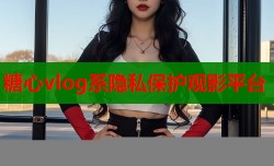 糖心vlog系隐私保护观影平台