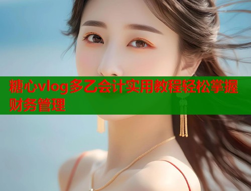 糖心vlog多乙会计实用教程轻松掌握财务管理  第1张
